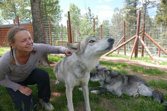 Colorado Wolf and Wildlife Center w Divide