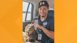 TSA agent rescues groundhog spotted on hot Dulles Airport runway