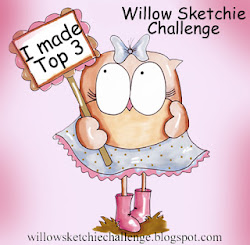 Top 3 Willow Sketchie Challenge