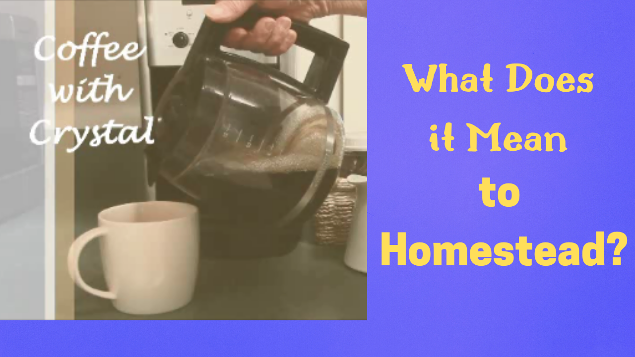 What Does it Mean to Homestead? Coffee with Crystal