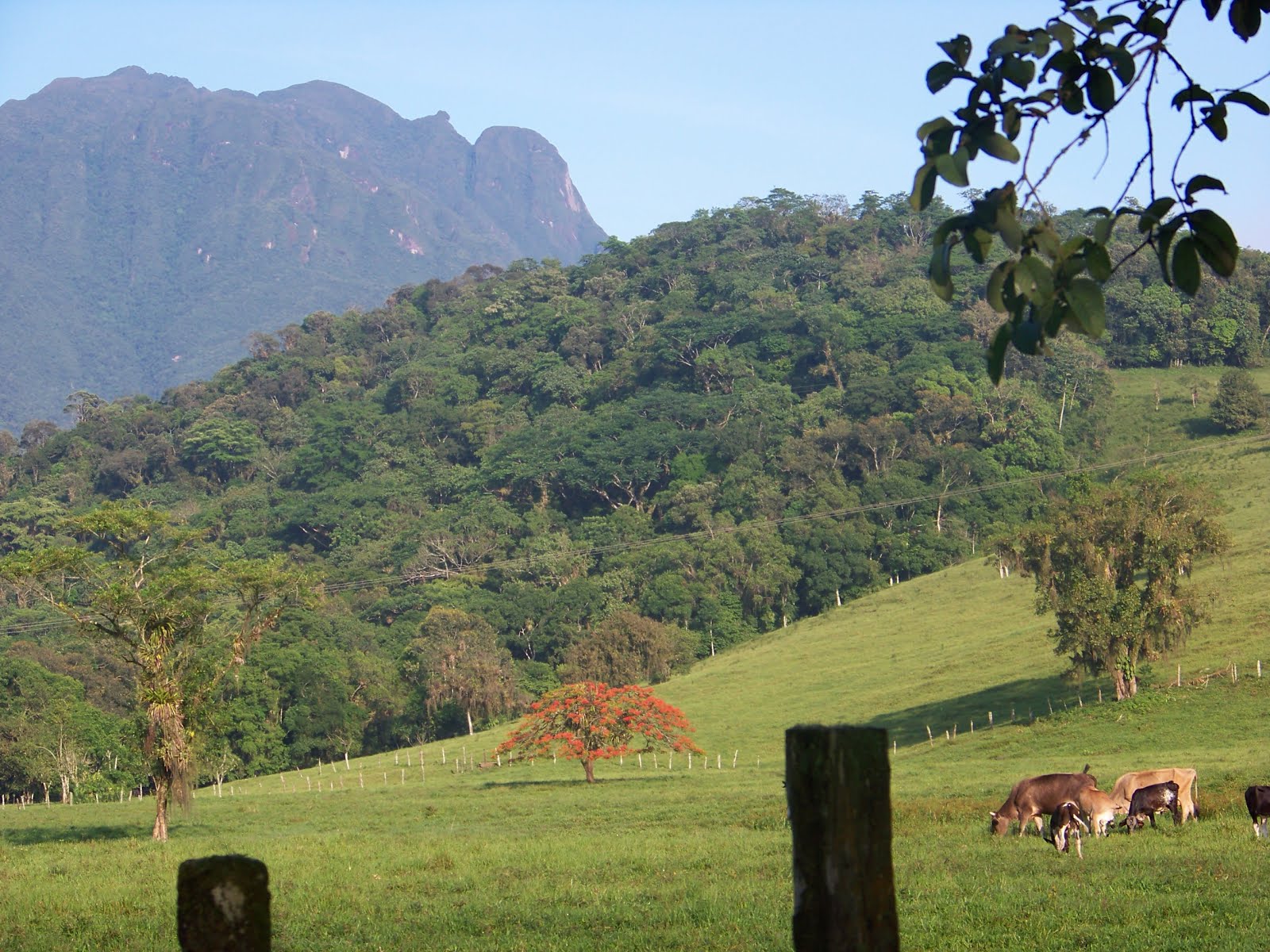 Paisagem de Morretes