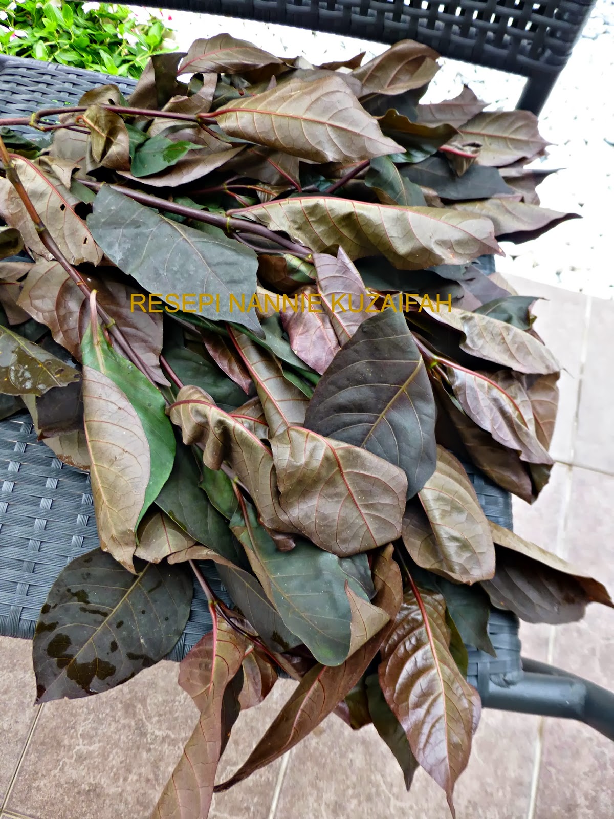 RESEPI NENNIE KHUZAIFAH Rendang ayam daun puding