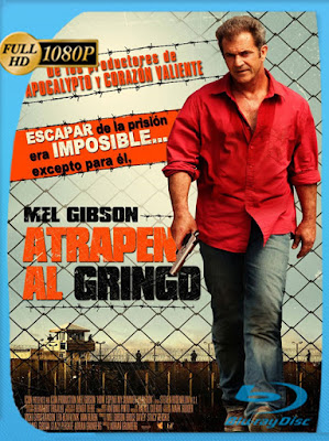 Atrapen al Gringo (2012) [1080p] Latino [GoogleDrive] [MasterAnime]