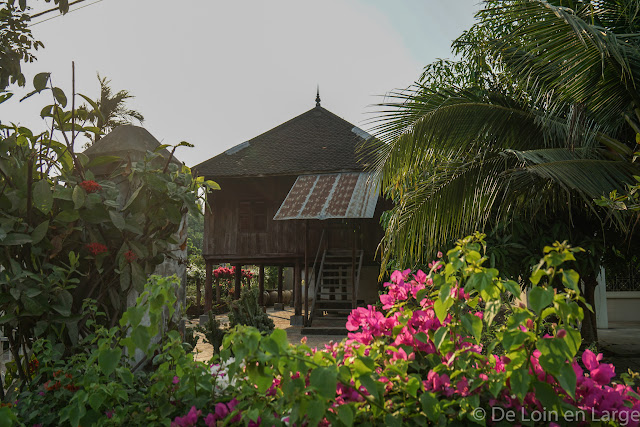 Campagne de Battambang - Cambodge