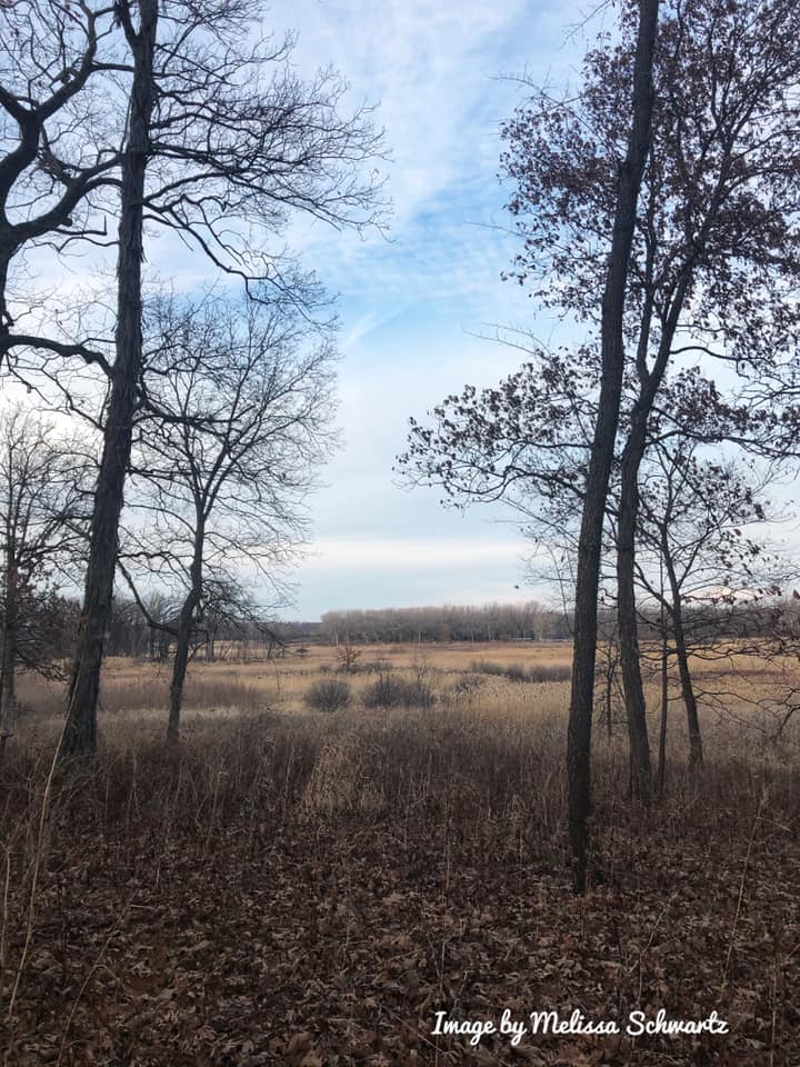 A Little Time and a Keyboard Rolling Trails and Mini Boulders at