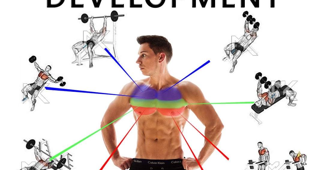How to developing your chest