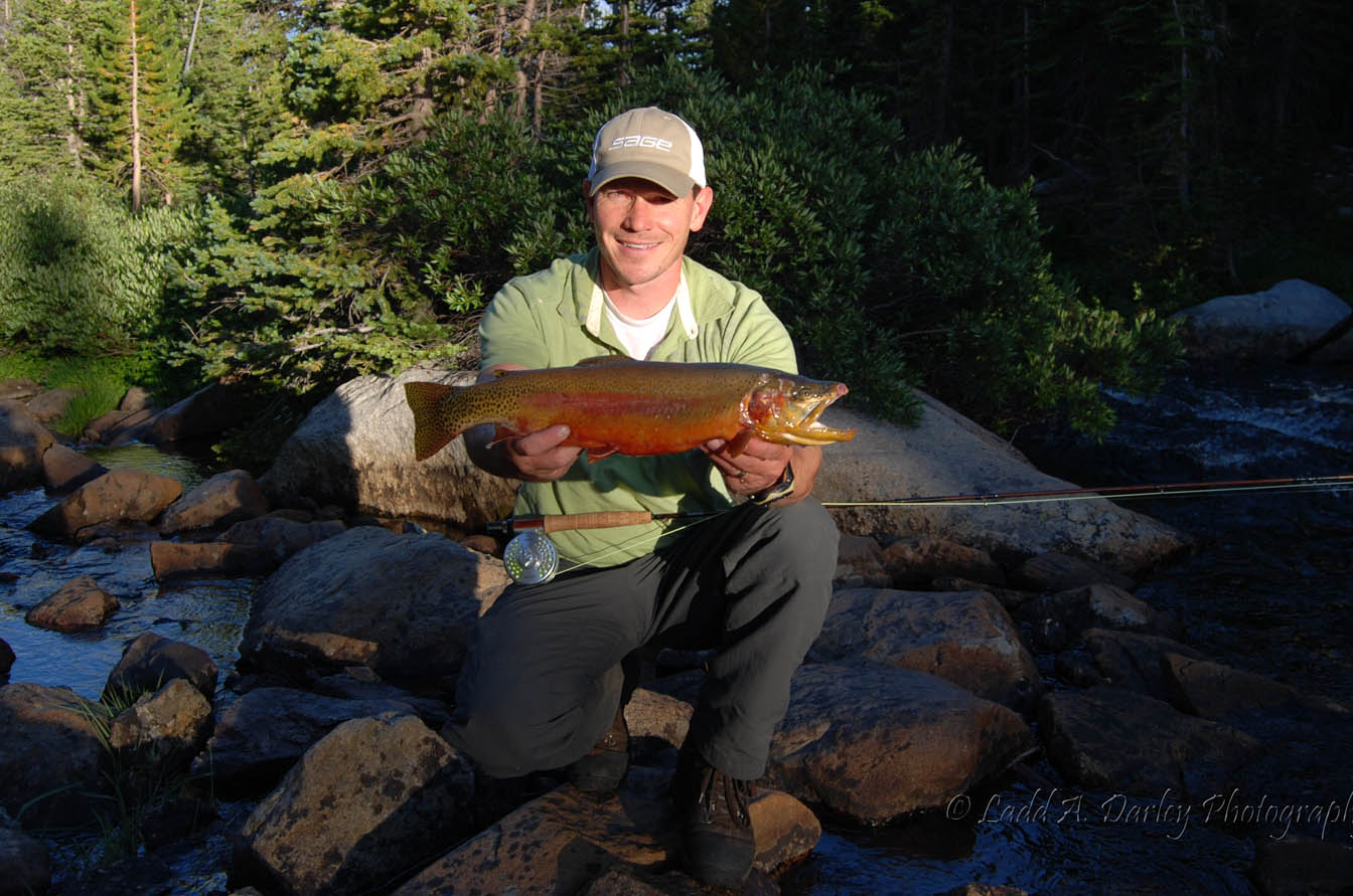 High Altitude Fly Fishing: The Wind River Gold Rush is on!