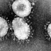 Coronavirus vaccines by WHO