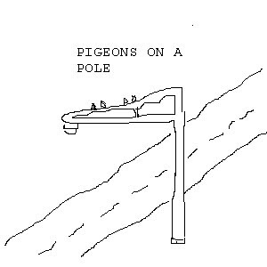 Pigeons on a Pole