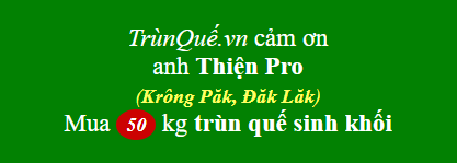 Trùn quế Krông Păk