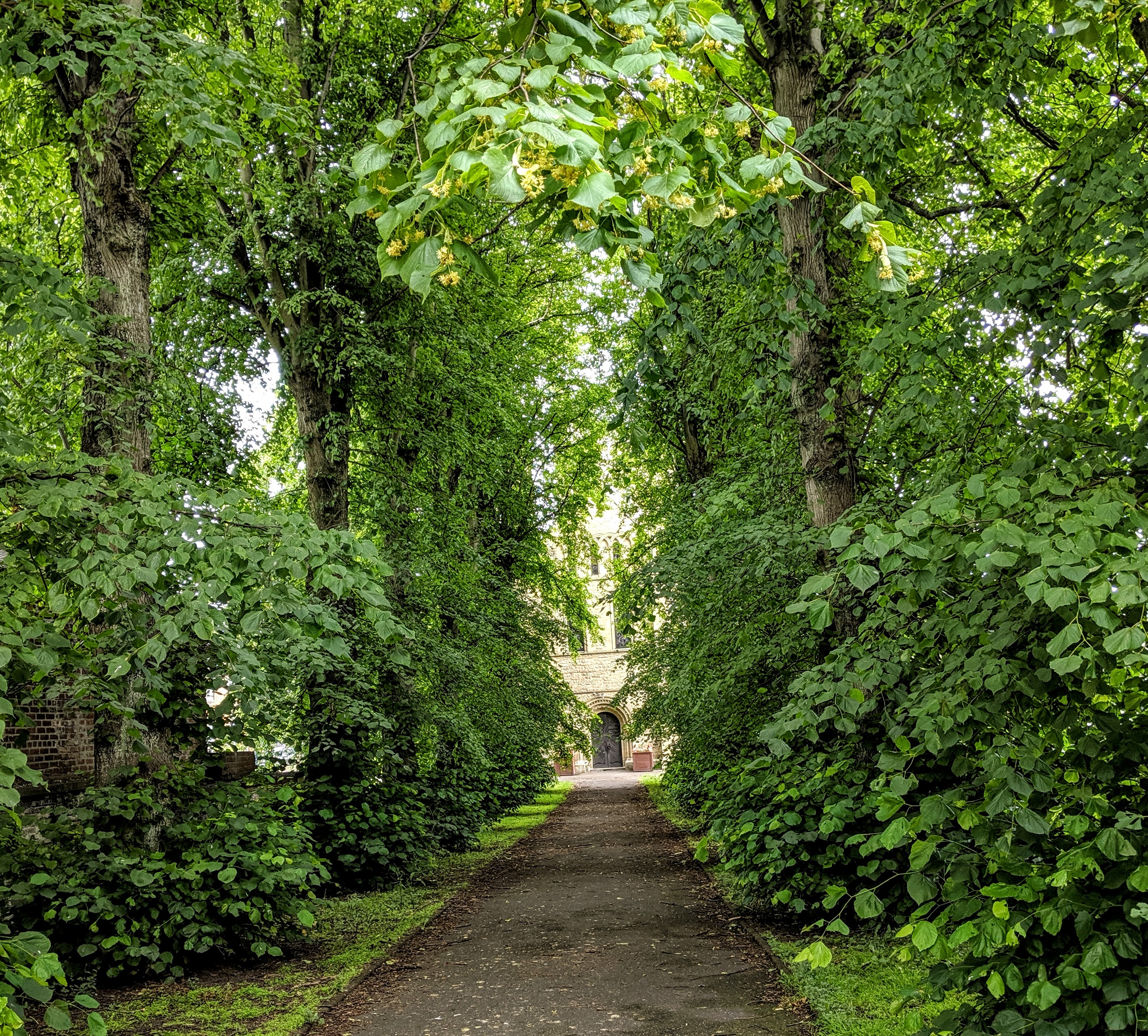 Treasure Trails Review North East Family Fun