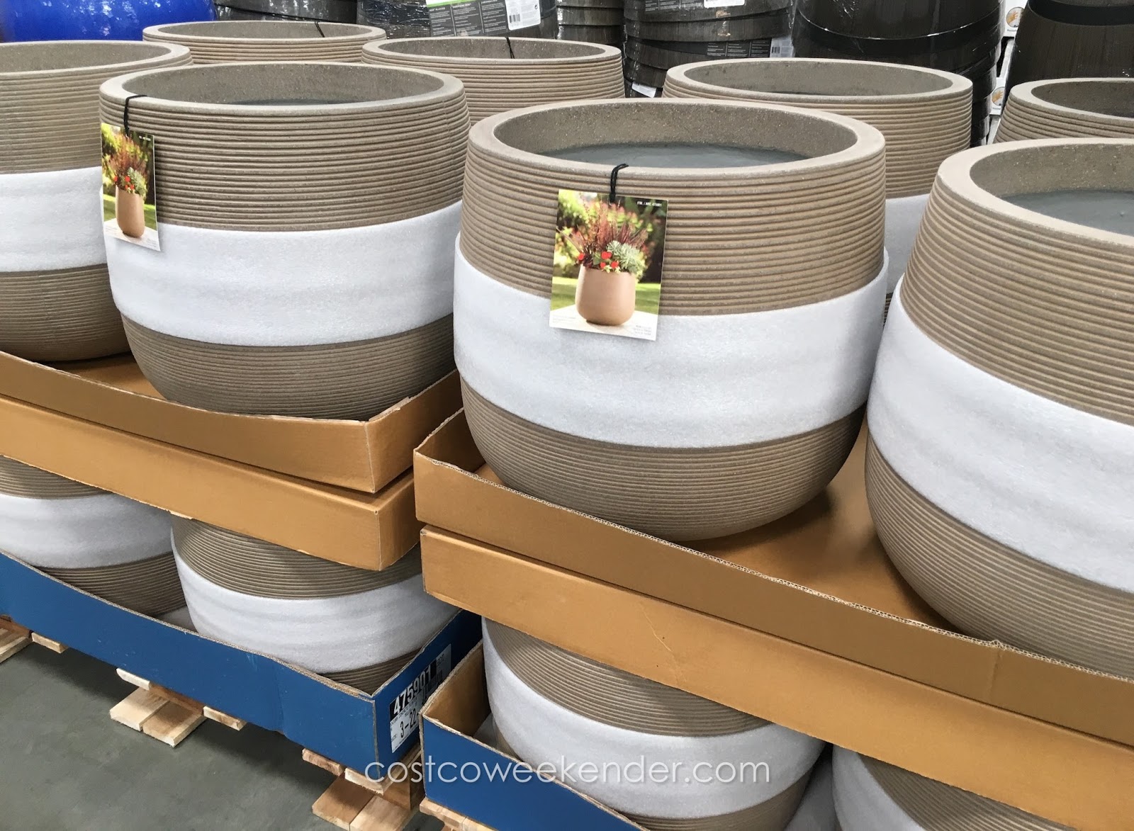 Ventura Lightweight Concrete Planter Costco Weekender
