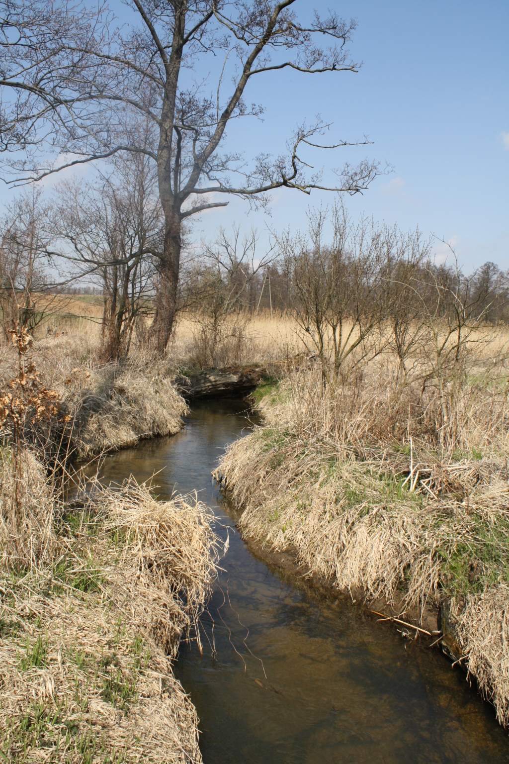 Kraina Wędrujących Wysp Rzeka Wierzbica k. Starej Białej ( powiat płocki).