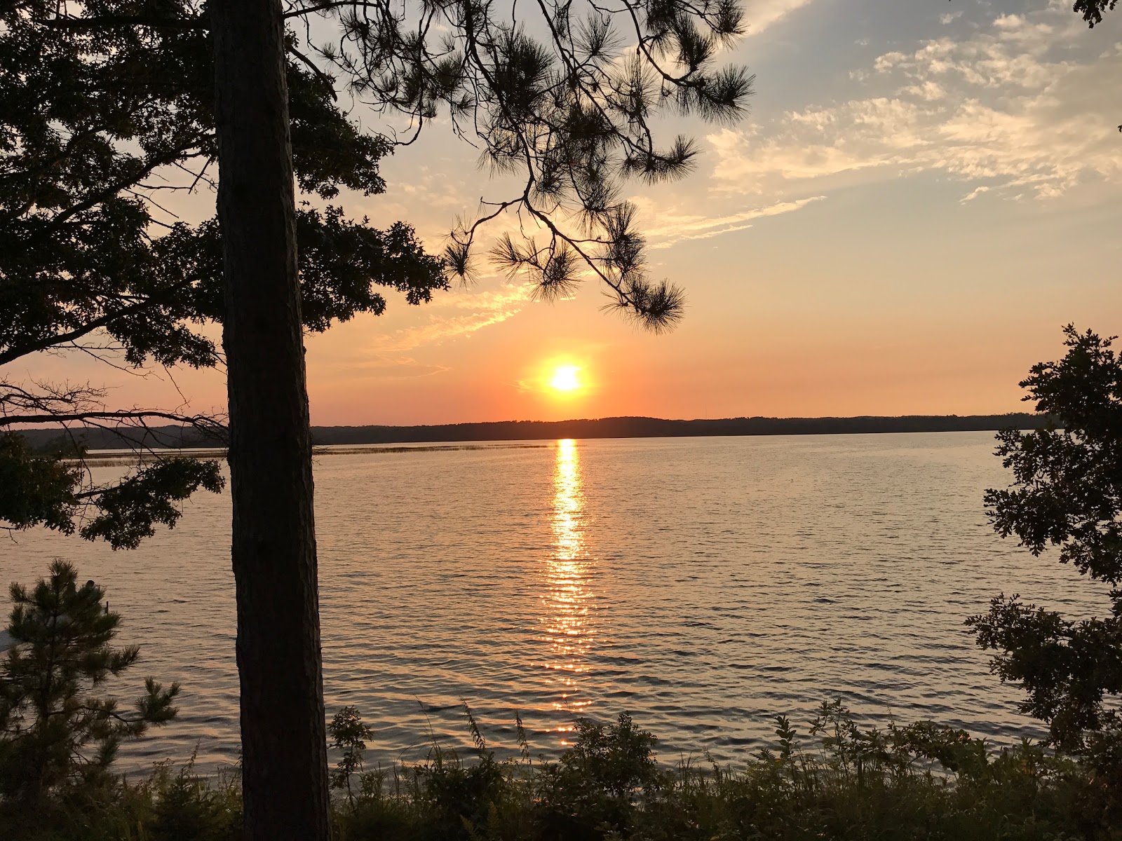 Virtual World x11 forwarding for Microsoft Windows and GitBash