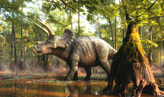 Dinossauros- Triceratops