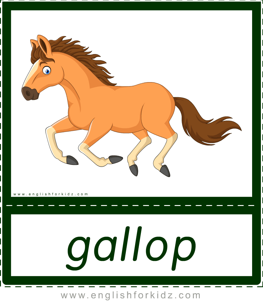 Printable Flashcards Animal Actions. Part 2.