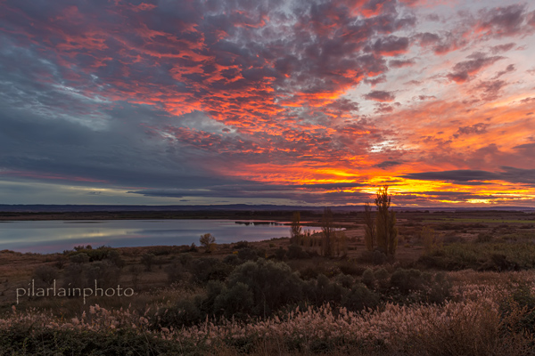 Laguna de Sariñena-paisajes monegros