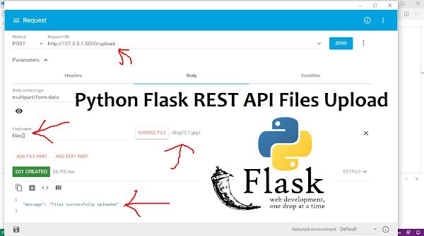 Python Flask REST API Files Upload | Tutorial101