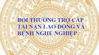 Tai nạn lao động; quyền và trách nhiệm của người SDLĐ đối với người lao động