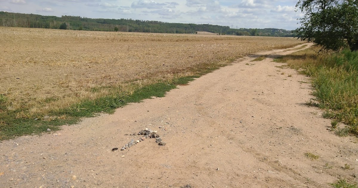 Elbradler Von Kolin Nach Pardubice