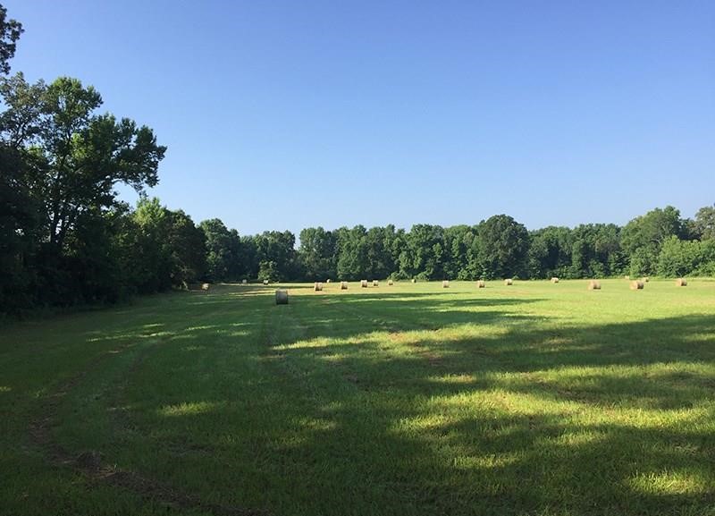 ERA TEAM Real Estate's Central AR Real Estate Blog 49 Linder Road