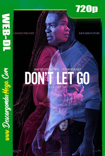 Don’t Let Go (2019) HD [720p] Latino-Ingles