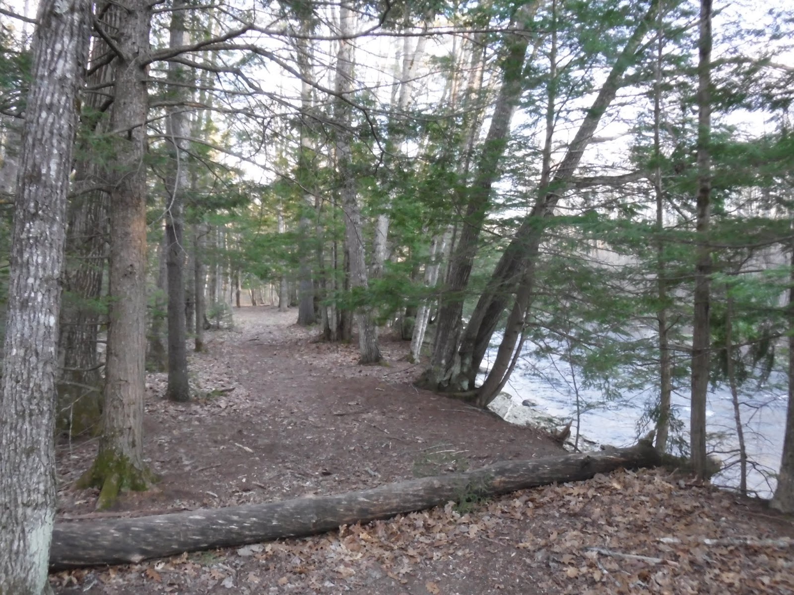 Papermill Park (Hampden)