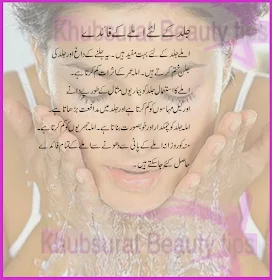Amla benefits for skin urdu