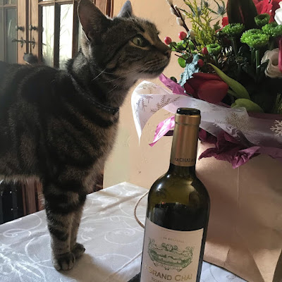 A brown tabby cat inspecting a display of flowers and a bottle of wine