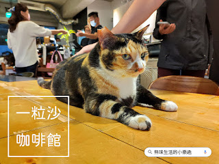 貓咪咖啡廳　一粒沙咖啡館
