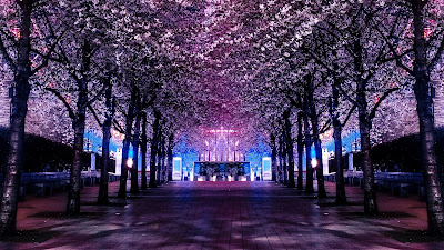 Ferris Wheel Cherry Blossom Tree Wallpaper