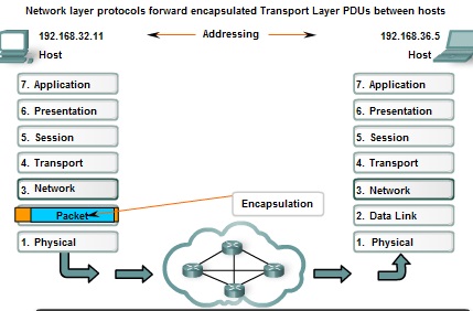 Pengertian dan Cara Kerja Network Layer Beserta Contoh 5_