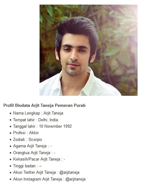 Profil Biodata Arjit Taneja Pemeran Purab