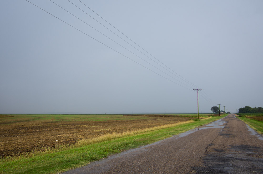 In the Mississippi Delta 3 Photography In Place