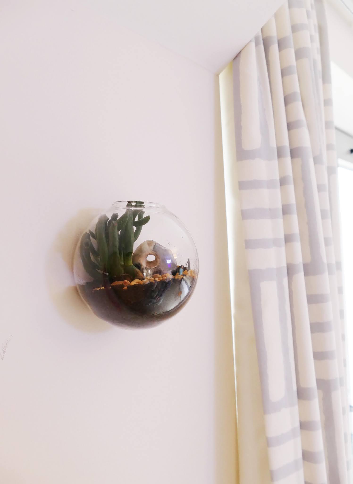 Best Ways To Decorate Your Studio With Plants- Terrarihome Review 
