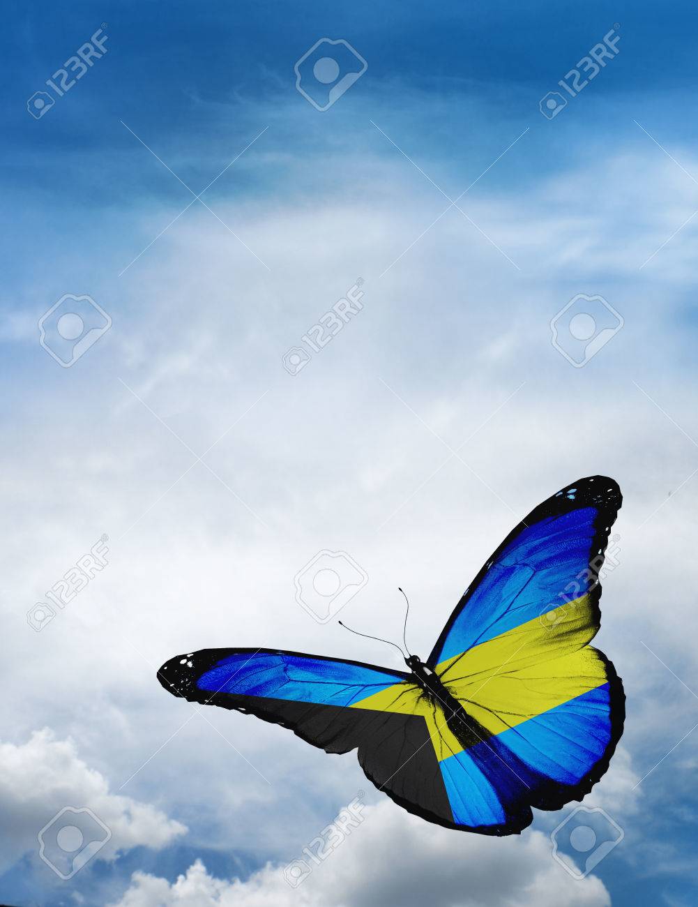 Heraldry of Life: B - World Butterfly - ART with flag of states