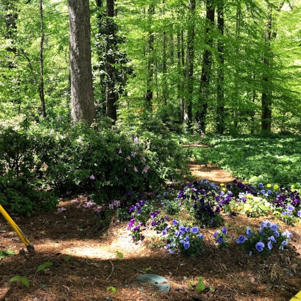 COVID AND A BIT OF MELANCHOLY Simple and Serene Living