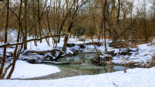 Winter photo of Taylor Creek in Toronto