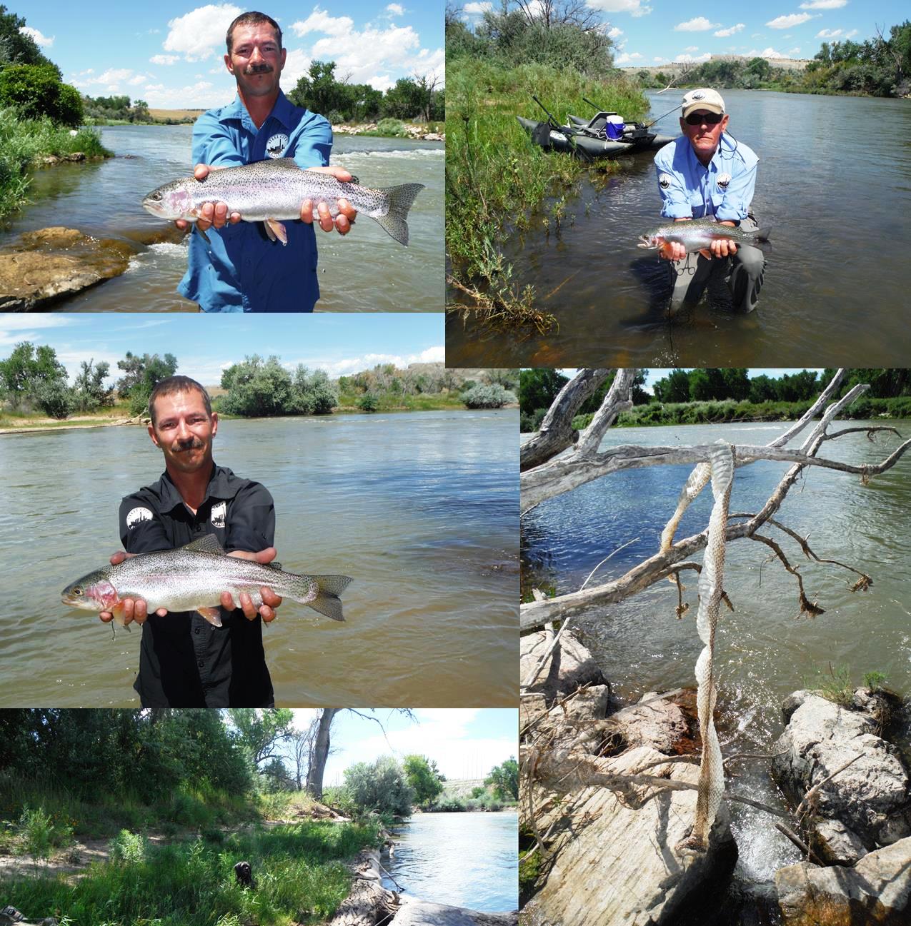Arkansas River Tailwater Fly Fishing Report August 2015