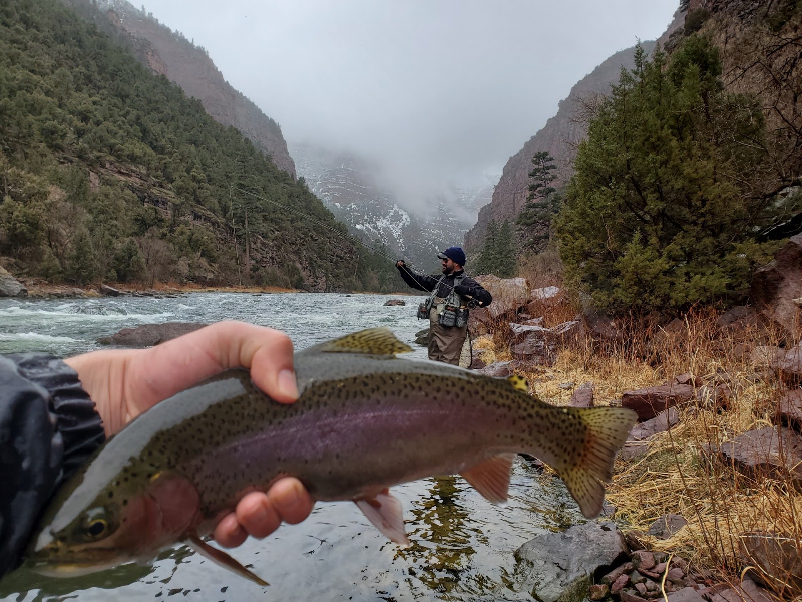 Fly Fishing the Green River near Dutch John, Utah