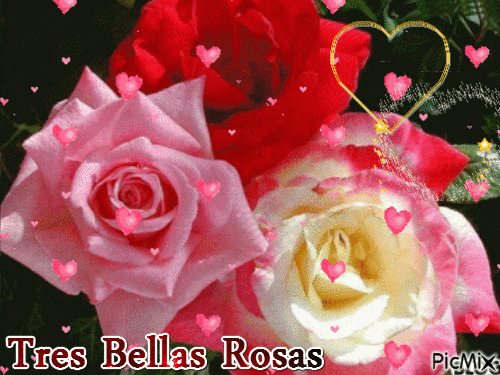 Resultado de imagen de imagenes de  TRES  FLORES  HERMOSAS