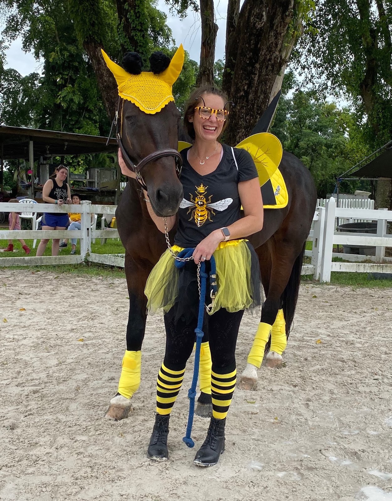 Halloween Horse Costume Henry The Bee Made By Bricole Reincke