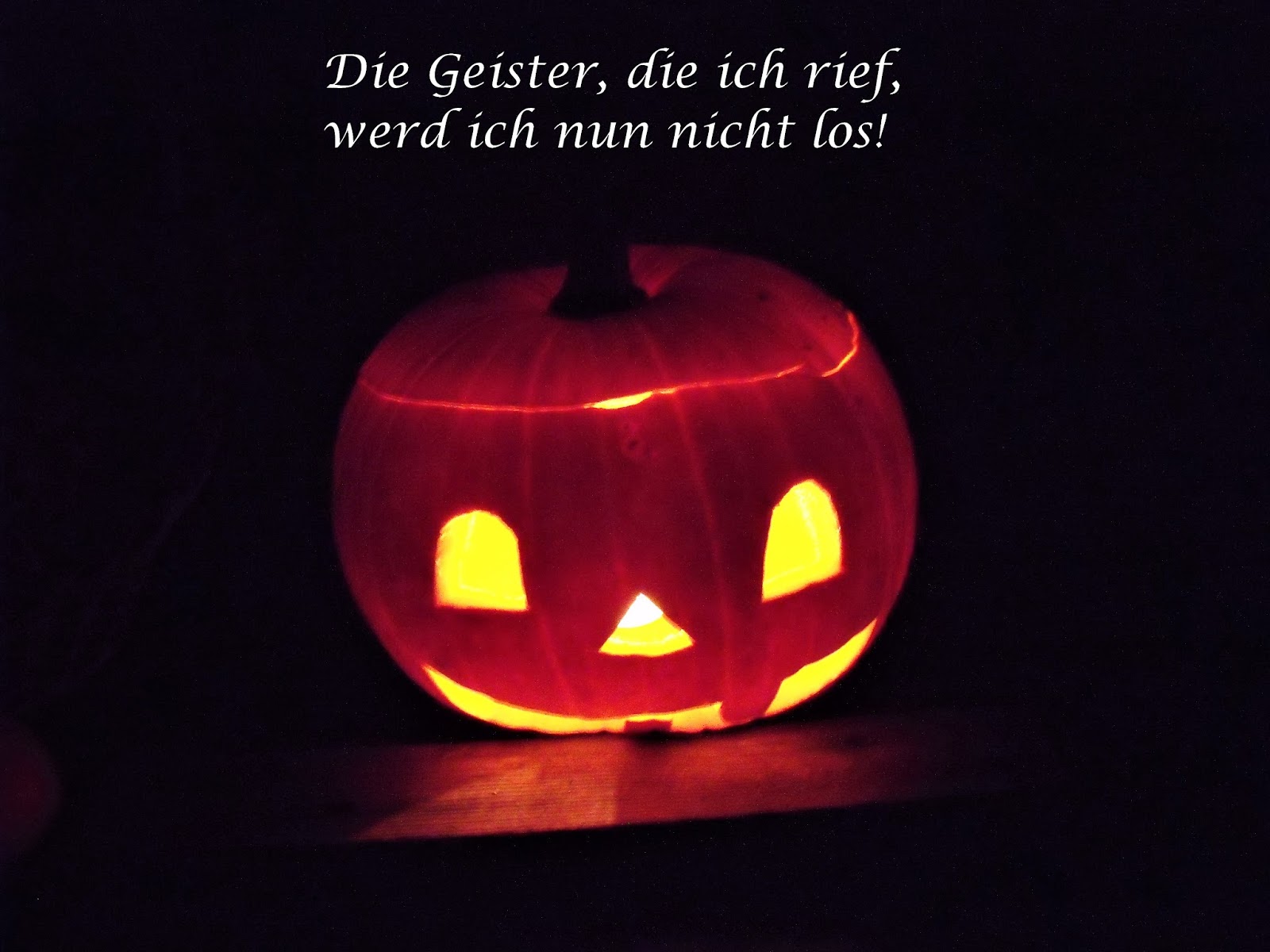 Animal Crossing Reiner Falschungen Reiner