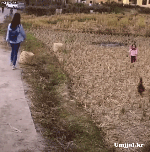Umjjal_kr_074.gif