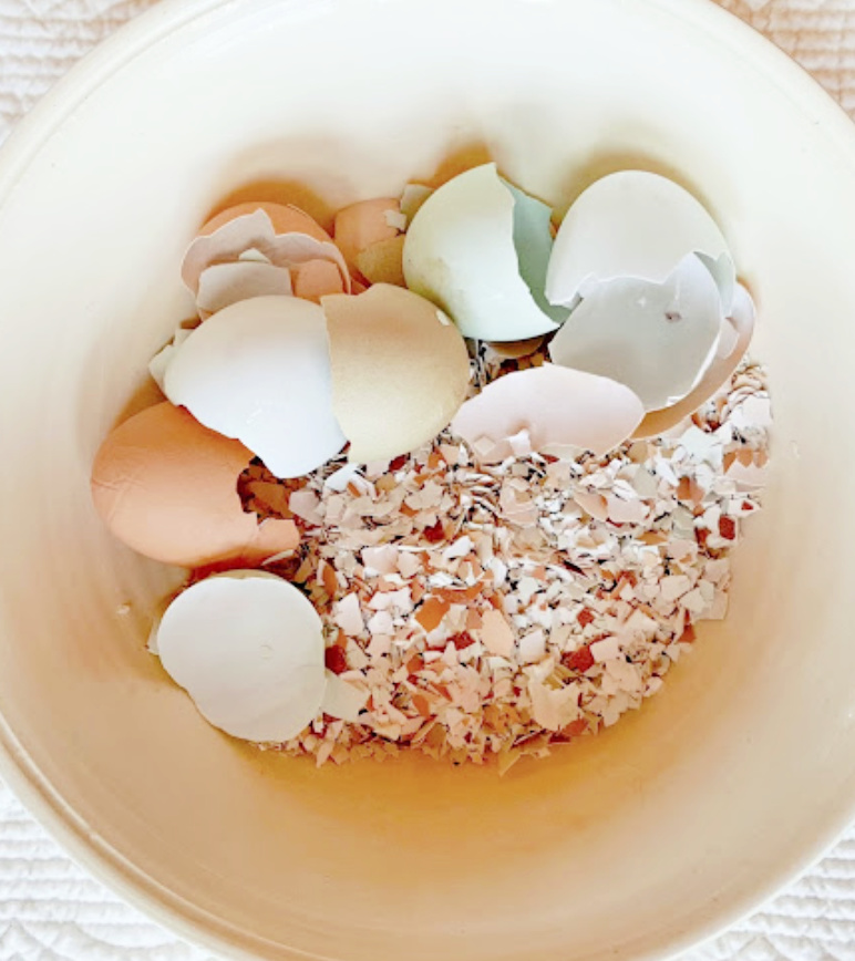 Crushed Eggshells for your Chickens Fresh Eggs Daily® with Lisa Steele