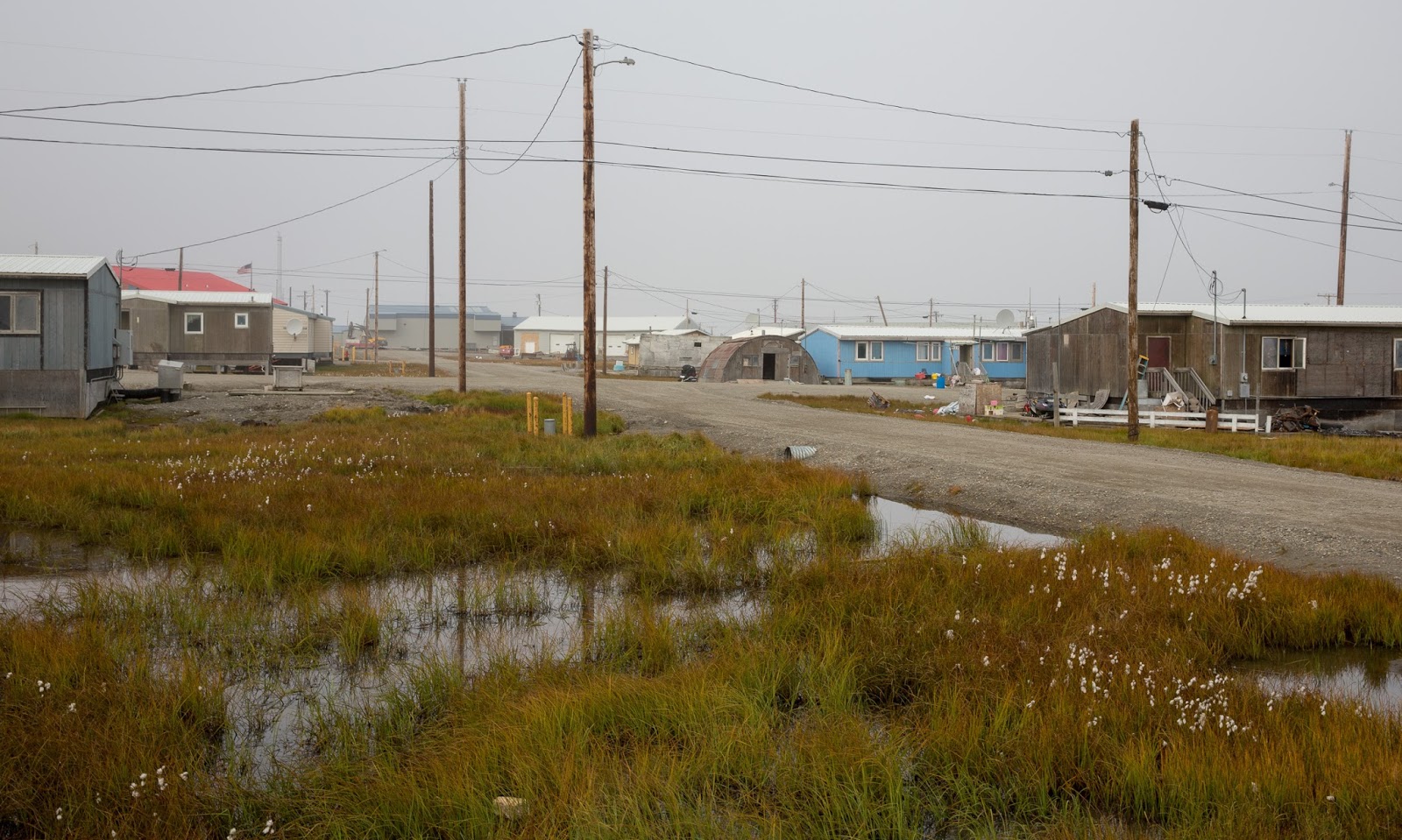 Jeremy Bears Kaktovik, late August 2015 Introduction