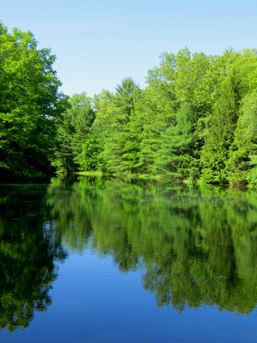 Carelton Creek pond