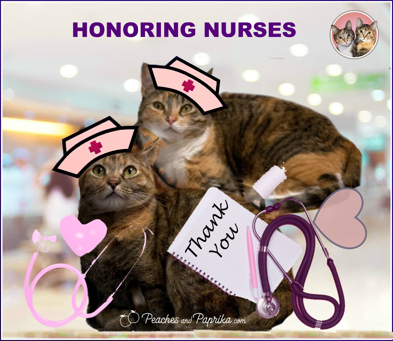 Peaches and Paprika Cats Honoring Nurses for National Nurses Week