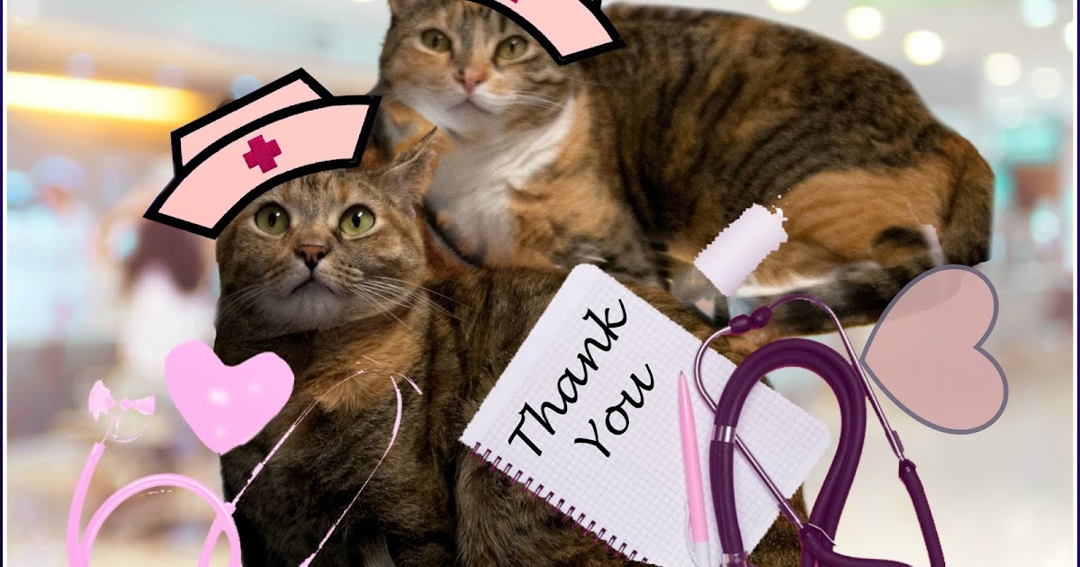 Peaches and Paprika Cats Honoring Nurses for National Nurses Week