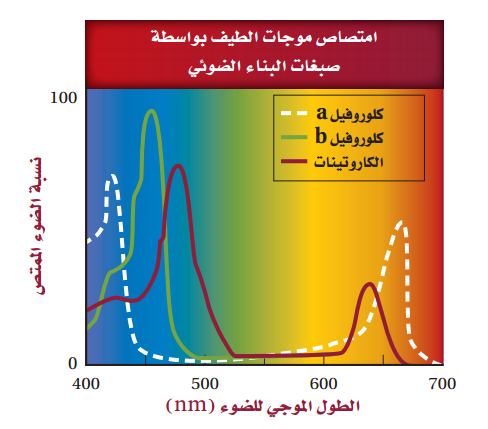 الكلوروفيل والطاقة تحتاج أكسيد إلى والأكسجين وصبغة والماء لتطلق الجلوكوز عملية الكربون ثاني عملية تستطيع